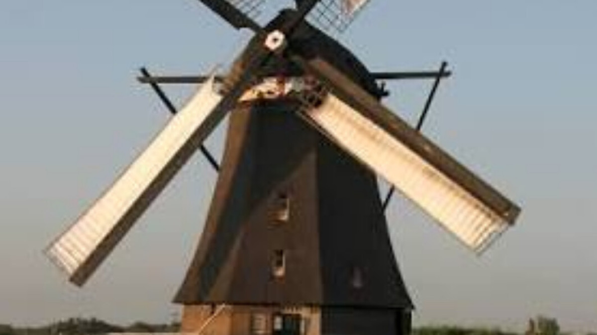 Square Image
